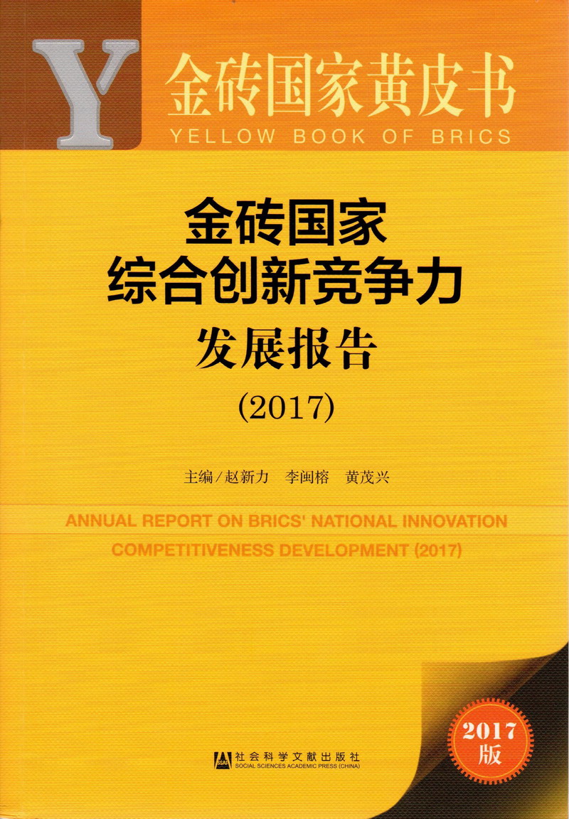 操网站免费观看逼金砖国家综合创新竞争力发展报告（2017）